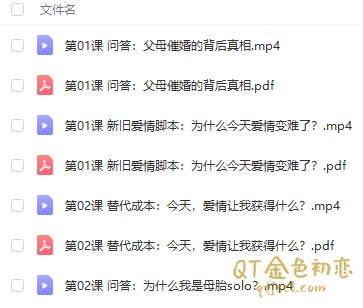 沈奕斐《复旦沈奕斐的社会爱情思维课》让你在亲密关系中如鱼得水插图1